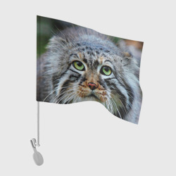 Флаг для автомобиля Кошка породы манул