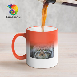 Кружка хамелеон Кошка породы манул