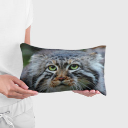 Подушка 3D антистресс Кошка породы манул - фото 2