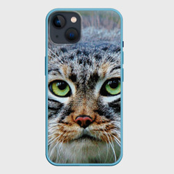 Чехол для iPhone 14 Кошка породы манул