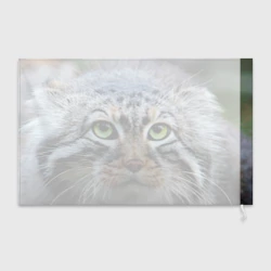 Флаг 3D Кошка породы манул - фото 2