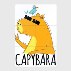 Магнитный плакат 2Х3 Capybara водосвинка