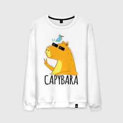 Мужской свитшот хлопок Capybara водосвинка