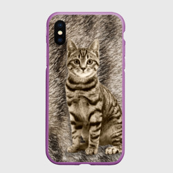 Чехол для iPhone XS Max матовый Британская мраморная