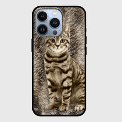 Чехол для iPhone 13 Pro Британская мраморная