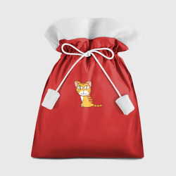 Мешок новогодний Удивленный рыжий котик