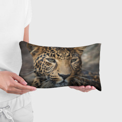 Подушка 3D антистресс Молодой леопард - фото 2