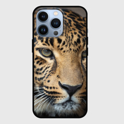 Чехол для iPhone 13 Pro Молодой леопард