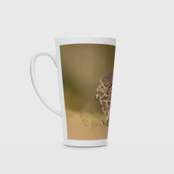 Кружка Латте Штош - мем - совёнок