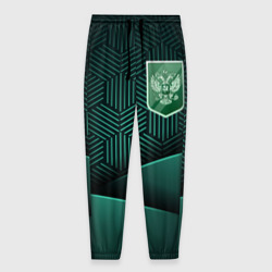 Мужские брюки 3D зеленый герб России