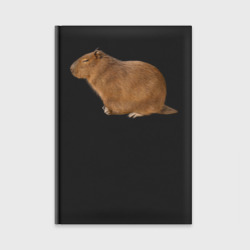 Ежедневник Капибара сидит и спит