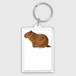 Брелок прямоугольный 35*50 Капибара сидит и спит