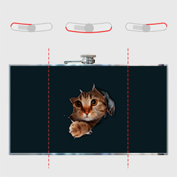 Фляга с принтом Вылезающий котёнок для любого человека, вид спереди №5. Цвет основы: металл