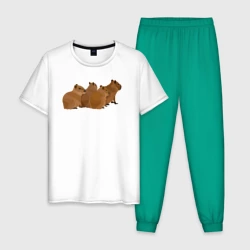 Мужская пижама с белой футболкой хлопок Банда милых капибар готовится