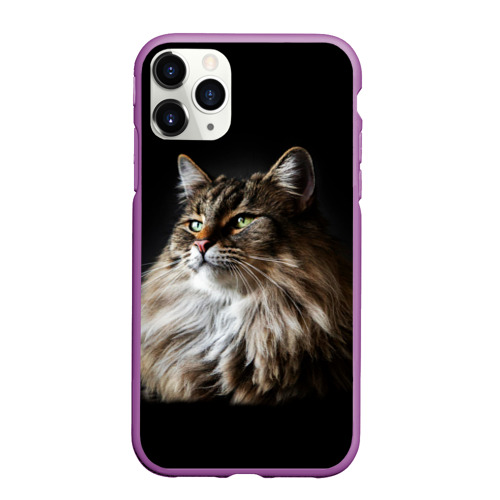 Чехол для iPhone 11 Pro Max матовый Кот породы мейн-кун, цвет фиолетовый