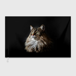 Флаг 3D Кот породы мейн-кун