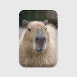 Картхолдер Magsafe магнитный Капибара - водосвинка
