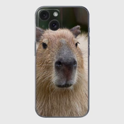 Чехол для iPhone 15 силиконовый с защитой камеры Капибара - водосвинка