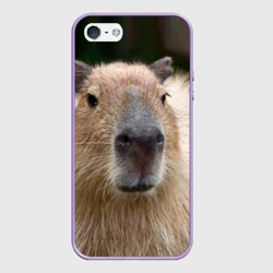 Чехол для iPhone 5/5S матовый Капибара - водосвинка