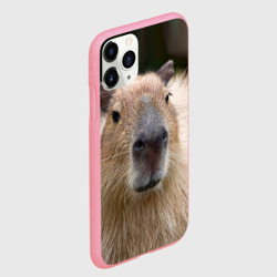 Чехол для iPhone 11 Pro Max матовый Капибара - водосвинка - фото 2