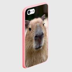 Чехол для iPhone 5/5S матовый Капибара - водосвинка - фото 2