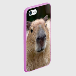 Чехол для iPhone 5/5S матовый Капибара - водосвинка - фото 2