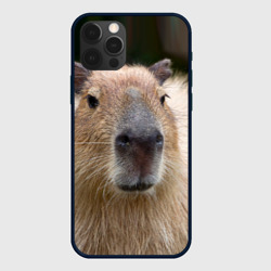 Чехол для iPhone 12 Pro Капибара - водосвинка