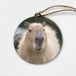 Деревянная игрушка круг Капибара - водосвинка