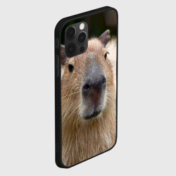 Чехол для iPhone 12 Pro Капибара - водосвинка - фото 2