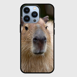 Чехол для iPhone 13 Pro Капибара - водосвинка