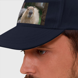 Бейсболка Капибара - водосвинка