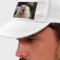 Бейсболка Капибара - водосвинка