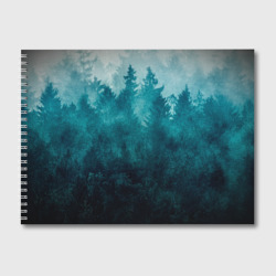 Альбом для рисования Темный хвойный лес