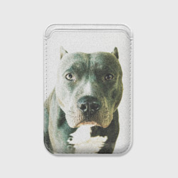 Картхолдер Magsafe магнитный Чёрный американский булли