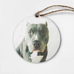 Деревянная игрушка круг Чёрный американский булли