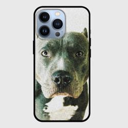 Чехол для iPhone 13 Pro Чёрный американский булли