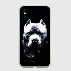 Чехол для iPhone XS Max матовый Питбуль: Американский питбультерьер