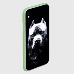 Чехол для iPhone XS Max матовый Питбуль: Американский питбультерьер - фото 2