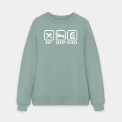 Мужской свитшот oversize без начеса хлопок Ешь Спи Играй в шахматы