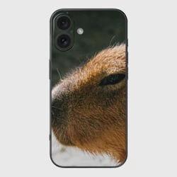 Чехол для iPhone 16 силиконовый с защитой камеры Невероятная капибара-модель