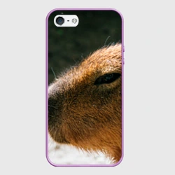 Чехол для iPhone 5/5S матовый Невероятная капибара-модель