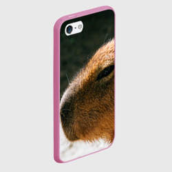 Чехол для iPhone 5/5S матовый Невероятная капибара-модель - фото 2