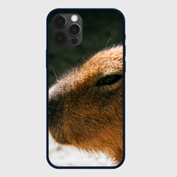 Чехол для iPhone 12 Pro Max Невероятная капибара-модель