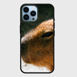 Чехол для iPhone 14 Pro Max Невероятная капибара-модель