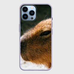Чехол для iPhone 14 Pro Max Невероятная капибара-модель