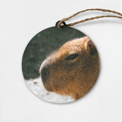 Деревянная игрушка круг Невероятная капибара-модель