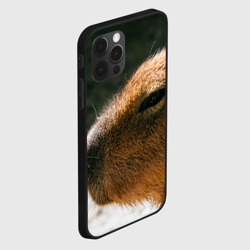 Чехол для iPhone 12 Pro Невероятная капибара-модель - фото 2