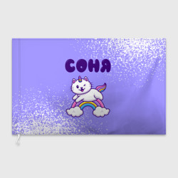 Флаг 3D Соня кошка единорожка