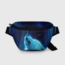 Поясная сумка 3D Волк воет на зимнее ночное небо