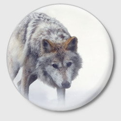 Значок Волк зимой